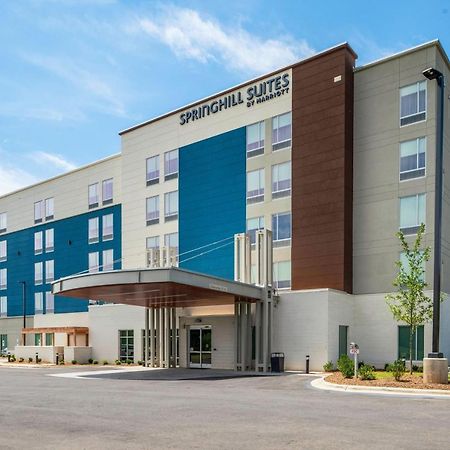 Springhill Suites By Marriott Charlotte Airport Lake Pointe Luaran gambar